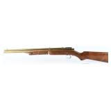 Benjamin 312 Pump-Action Air Rifle .22 Caliber