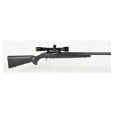 Ruger 10/22 .17 HM2 Semi-Auto Rifle Heavy Barrel