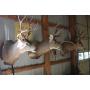 Large Online Estate Auction