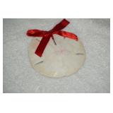 Sand Dollar Christmas