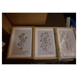 NIP Set of 3 Floral Prints Framed