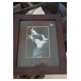 F&M Picture of Water Fall is signed