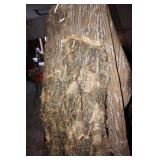 Mossy Oak Bottomland Camouflage Shirt