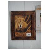 Lion Picture