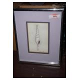 F&M Picture of a Seashell Signed
