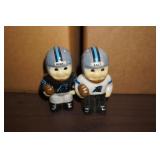 Carolina Panthers S&P Shaker