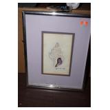F&M Picture of a Seashell Signed