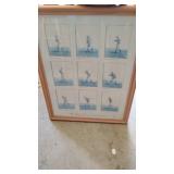 Framed Picture Golf Swinging Progression