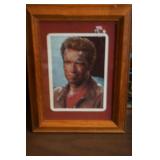 5 x 7 F&M Picture of Arnold Schwarzenegger