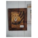 Lion Picture