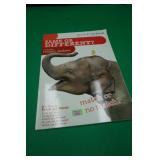 Pre K-K Workbook Same or Different?