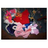 Collection of Dog Clothes