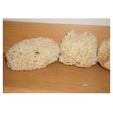 3 Natural Sponges
