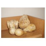 4 Gourds
