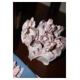 Purple/Pink Acorn Barnacle