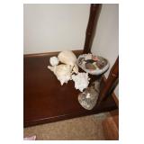 Collection of Sea Shells