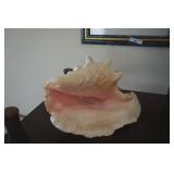 Lg Sea Shell