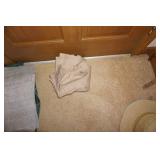 Shower Curtain