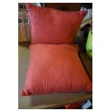 2 Throw Pillows