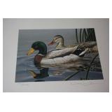 Signed & Numbered Print 94 Nebraska Water Fowl