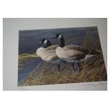 Signed & Numbered Print 91 First of State NE Duck