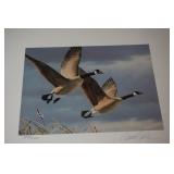 Signed & Numbered Print 87 First of State WV Duck