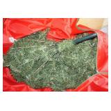 Lighted Christmas Tree in Bag