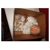 Box lot of Various Seashells