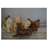 Collection of Dogs