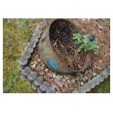 ANT Cast Iron Pot Used As Planter in Yard