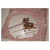 Decorated Sand Dollar Signed by Dean