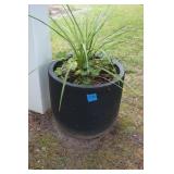 Large Black Plastic Planter with Flowers