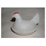 Small White Chicken on  Nest