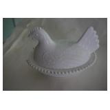 White Chicken on Nest