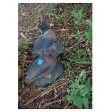 Two Outdoor Plastic Ducks by Tree