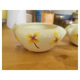 African Violet Pots w/o insert