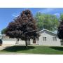 1521 13th Ave, Sheldon, IA 51201