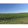 70 Acres in Center Twp, O'Brien Co