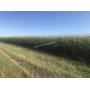 Tract 1: 105 +/- acres in Sec 3, Center Twp