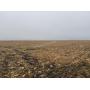 Van Veldhuizen Farmland Auction - ONLINE ONLY