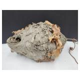 Hornets Nest  21"