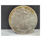 1989 Silver Eagle One Dollar Coin