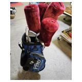 Golf CLubs Royal Venom & Nice Bag