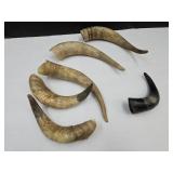 LOT Of Bull Horns, Up to 10"
