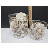 Seashell Lot in Glass Jars