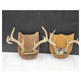 2  Mounted Antlers See Sizes