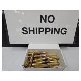 223 / 556 20 RDS Gun Ammo