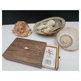 Seashell Lot & Playing Card Lot