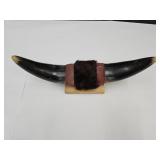 Small Mounted Bull Horns 12 1/2" Spread