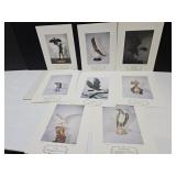 Symbol of America 8 Eagle Color Prints